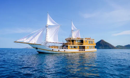 open-trip-barakati-komodo.webp