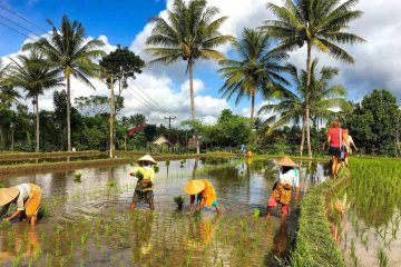Paket wisata Lombok 4 Hari 3 Malam