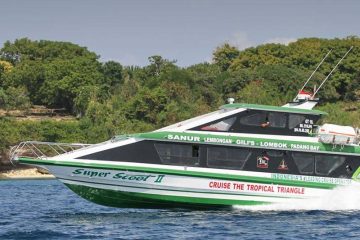 scoot- fast boat Scoot Fast Boat