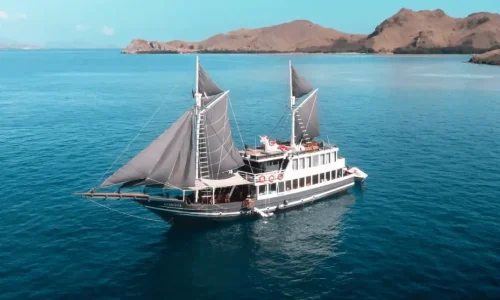 la isla de komodo, tour, tour de komodo, de komodo, excursión en barco, la isla de komodo, excursión en barco