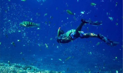 snorkeling-in-the-tropical-water-2021-08-30-15-12-50-utc.jpg