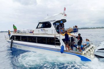 starfish_fast_cruise starfish_fast_cruise