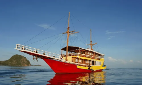 trip-komodo-boat-singkolo.webp